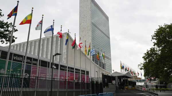 Здание Организации объединенных наций (ООН) в Нью-Йорке - Sputnik Грузия