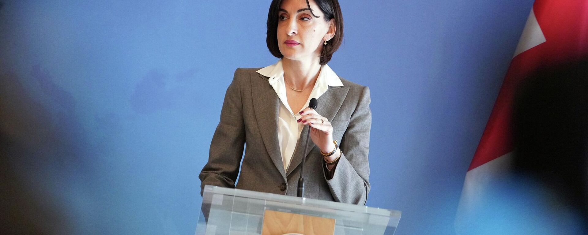 Глава МИД Грузии - Sputnik Грузия, 1920, 02.03.2026