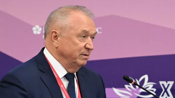 Россия имеет все шансы стать главным торговым партнером Грузии – глава ТПП РФ