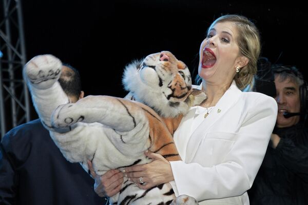 Избранный президент Коста-Рики Лаура Фернандес получает игрушечного тигра от сторонника после президентских выборов. - Sputnik Грузия