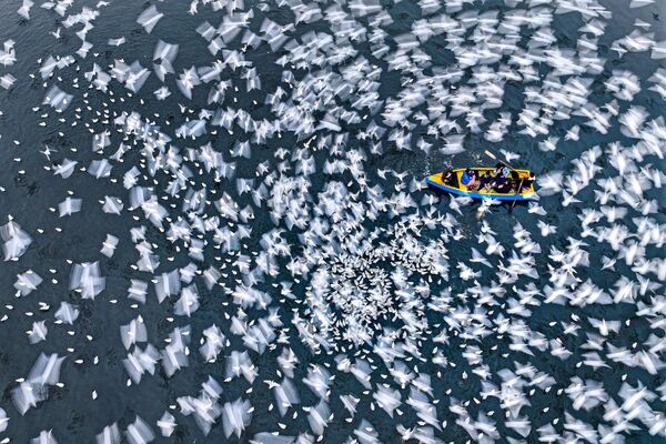  „სიმშვიდე მოძრაობაში“ ბანგლადეშელი ფოტოგრაფ მუშფიკულ ალამის ნამუშევარი. - Sputnik საქართველო