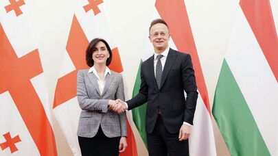 Глава МИД Грузии с венгерским коллегой