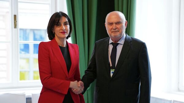 Мака Бочоришвили и генсек ОБСЕ Феридун Синирлиоглу - Sputnik Грузия