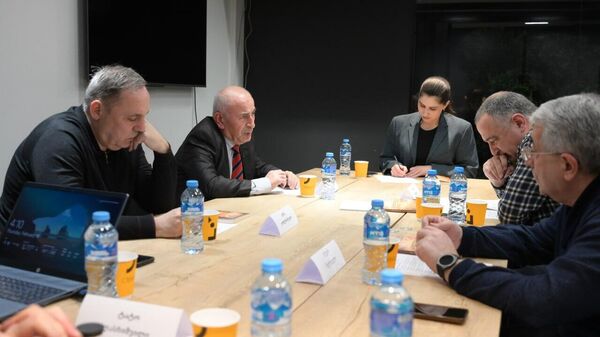 Круглый стол Интеграция грузинской экономики в глобальные процессы - Sputnik Грузия