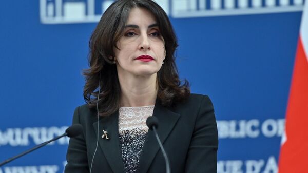 Главы МИД Армении и Грузии Арарат Мирзоян и Мака Бочоришвили на пресс-конференции по итогам встречи (30 января 2025). Еревaн - Sputnik Грузия