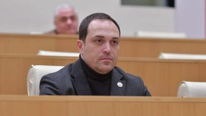 Председатель парламентского комитета Грузии по вопросам культуры Георгий Габуния