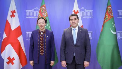 Шалва Папуашвили и председатель Меджлиса Дуньягозель Гюлманова