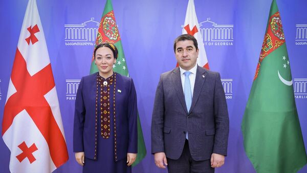 Шалва Папуашвили и председатель Меджлиса Дуньягозель Гюлманова - Sputnik Грузия