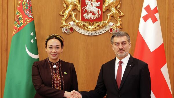 Михаил Кавелашвили и председатель Меджлиса Дуньягозель Гюлманова - Sputnik Грузия