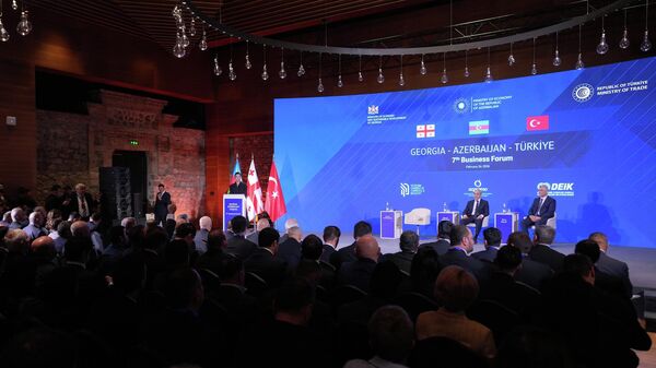 Бизнес-форум в Грузии - Sputnik Грузия