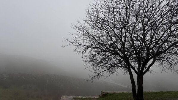 Туман был настолько сильным, что видимость была крайне низкой.  - Sputnik Грузия