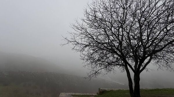 ნისლი - Sputnik საქართველო