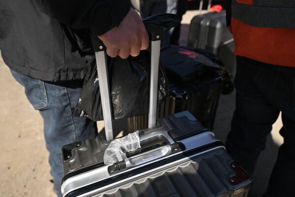 Прибывшие разгружают багаж после прохождения контроля - Sputnik Грузия