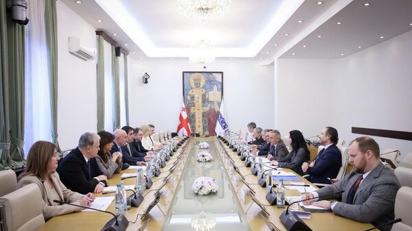 შეხვედრა ეუთოს საპარლამენტო ასამბლეასთან საქართველოს პარლამენტში - Sputnik საქართველო