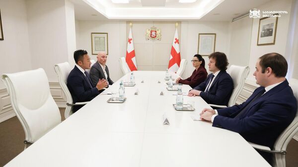 Встреча в администрации правительства Встреча в администрации правительства - Sputnik Грузия