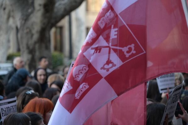 უნივერსიტეტებში მთელი რიგი არაპროფილური სასწავლო პროგრამების გაუქმების თაობაზე. - Sputnik საქართველო