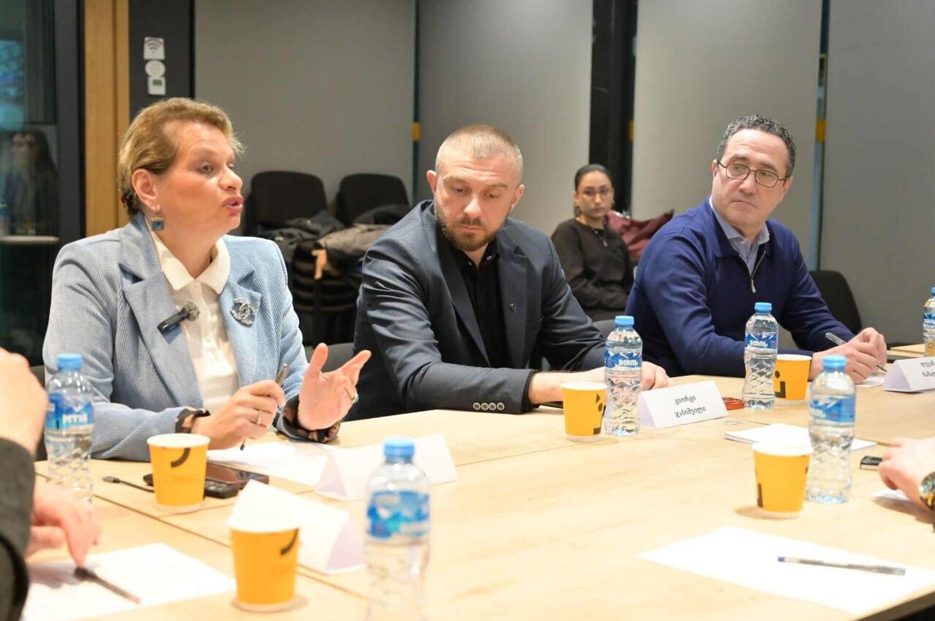 Круглый стол Украинский кризис – влияние на Грузию и последствия для мира - Sputnik Грузия, 1920, 27.03.2026