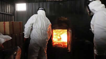 Уничтожение наркотиков в Грузии