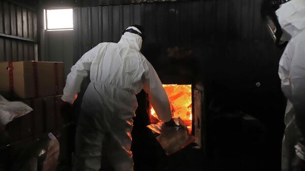 Уничтожение наркотиков в Грузии - Sputnik Грузия