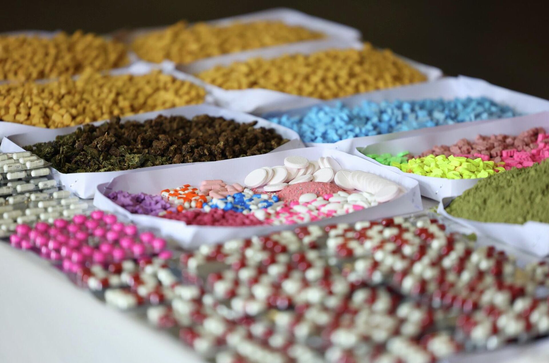 Уничтожение наркотиков в Грузии - Sputnik Грузия, 1920, 31.03.2026