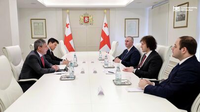 Встреча премьер-министра Грузии Ираклия Кобахидзе с главой миссии Международного валютного фонда (МВФ) Алехандро Хайденбергом