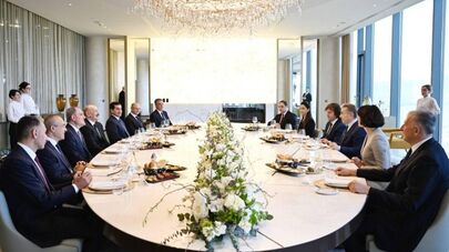 На встрече Бидзины Иванишвили и Ильхама Алиев