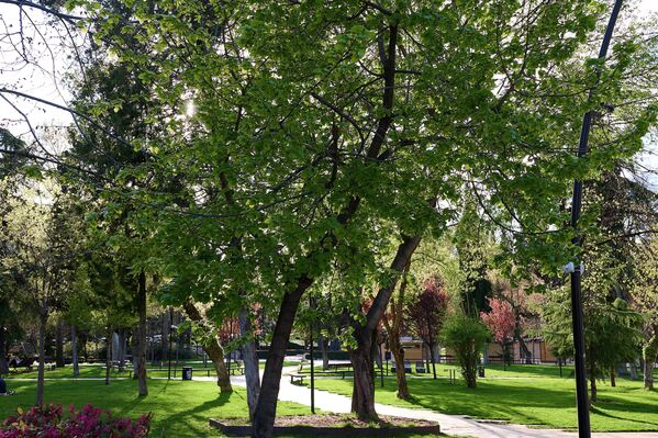 Сегодня этот парк – один из самых популярных и известных в столице Грузии. - Sputnik Грузия