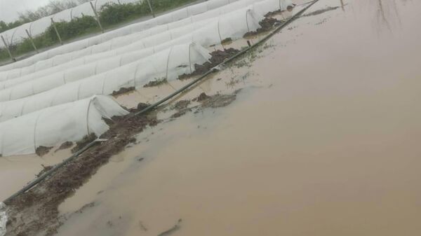 Лагодехи - Sputnik Грузия