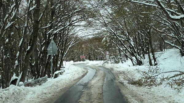 Тут идет снег, даже когда в Тбилиси нет осадков.  - Sputnik Грузия