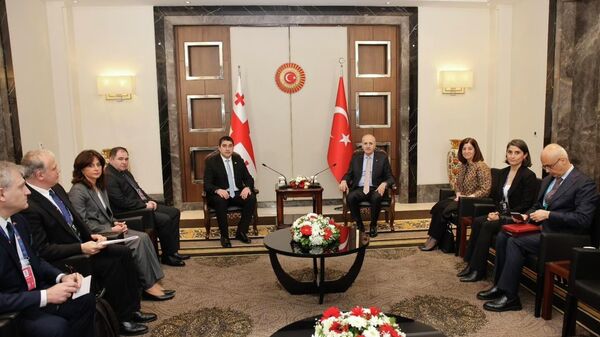 Встреча грузинской и турецкой парламентских делегаций - Sputnik Грузия
