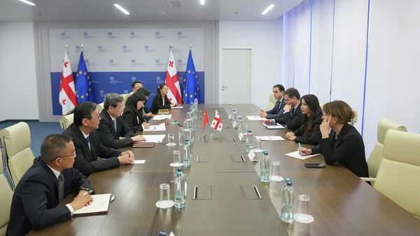 მარიამ ქვრივიშვილი ჩინეთის დელეგაციას ხვდება - Sputnik საქართველო