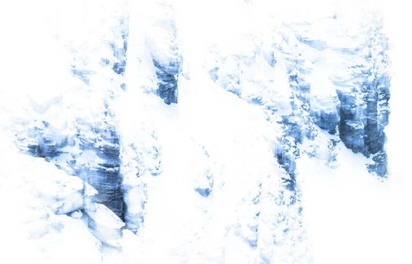 Абсолютный победитель премии GDT и победитель в номинации "Животные" – снимок альпийского зайца, сделанный 20-летним немецким фотографом Лукой Лоренцем. - Sputnik Грузия