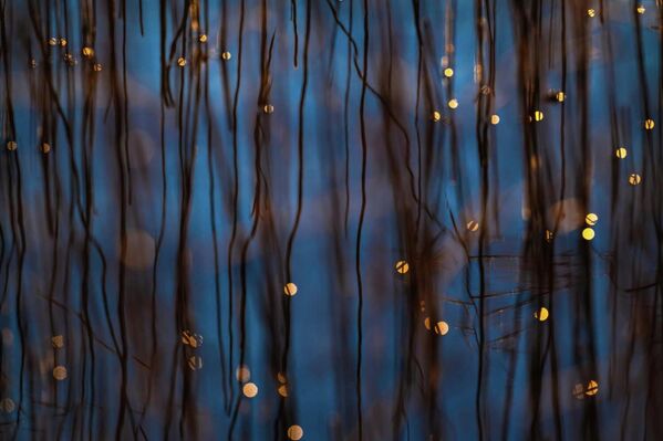 Номинация "Студия природы". Беате Освальд "Фрагменты света". - Sputnik Грузия