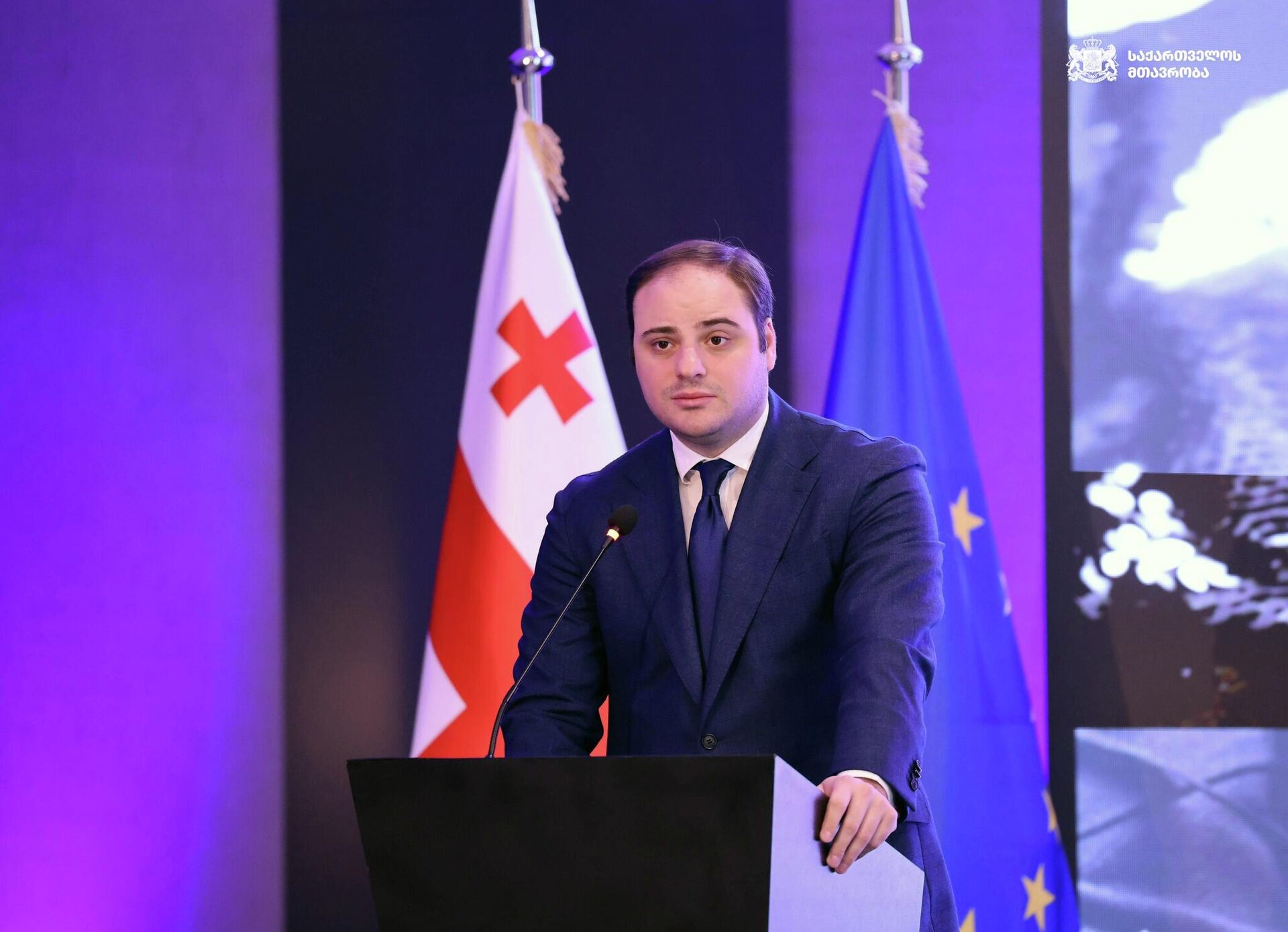 Глава администрации правительства Грузии Леван Жоржолиани на открытии региональной конференции стран Центральной Европы и Балтии (CEBS) - Sputnik Грузия, 1920, 28.04.2026