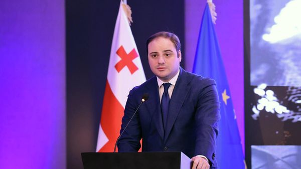 Глава администрации правительства Грузии Леван Жоржолиани на открытии региональной конференции стран Центральной Европы и Балтии (CEBS) - Sputnik Грузия