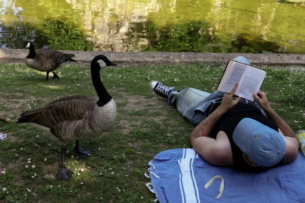 Человек реагирует на приближение гусей в парке Бют-Шомон, Франция. Человек реагирует на приближение гусей в парке Бют-Шомон, Франция. - Sputnik Грузия