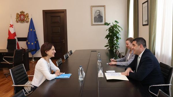 შალვა პაპუაშვილმა UNICEF-ის წარმომადგენელთან შეხვედრა გამართა - Sputnik საქართველო