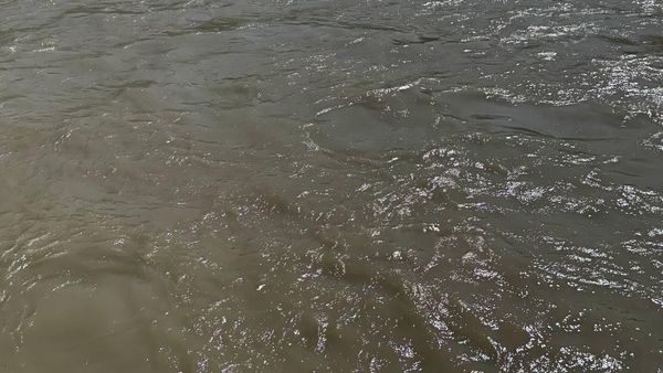 Машина вскоре затонула и спасатели долго искали ее и водителя.  - Sputnik Грузия