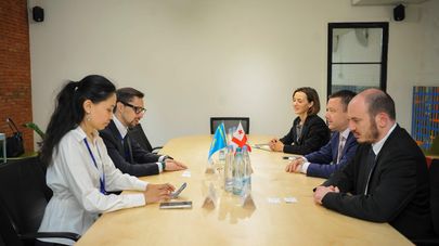 Встреча с казахстанской делегацией в Минэкономики Грузии