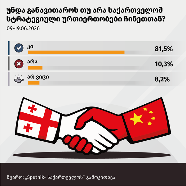 უნდა განავითაროს თუ არა საქართველომ სტრატეგიული ურთიერთობები ჩინეთთან? - Sputnik საქართველო