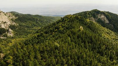 Новая охраняемая территория Цив-Гомбори в регионе Кахети
