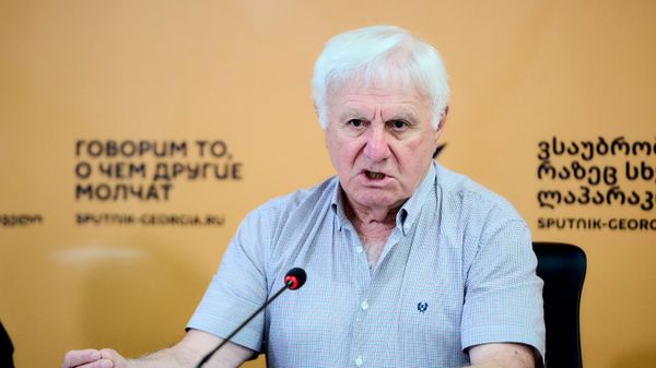 Фридон Инджия на пресс-конференции - Sputnik Грузия