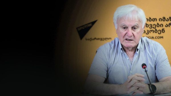 Потенциал грузинской диаспоры в Росcии не до конца освоен – Инджия - Sputnik Грузия
