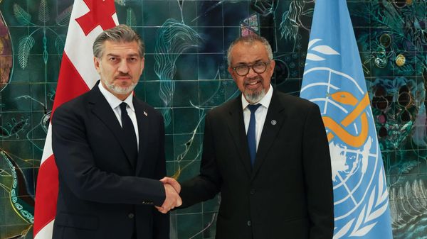 Встреча президента Грузии Михаила Кавелашвили с гендиректором ВОЗ Тедросом Адханомом Гебрейесусом - Sputnik Грузия