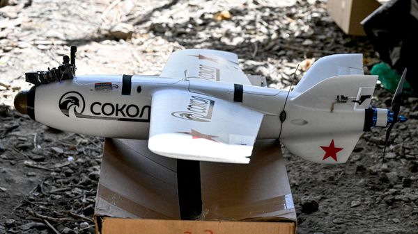 Боевая работа расчета БПЛА Сокол-И группировки войск Центр на Добропольском направлении СВО - Sputnik Грузия