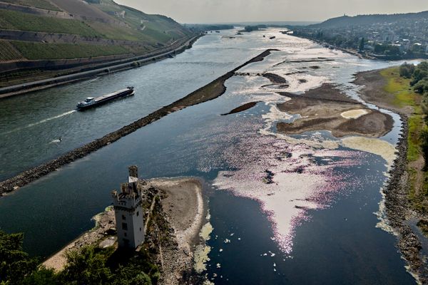 Часть реки Рейн пересохла в результате жаркой погоды в Бингене, Германия. - Sputnik Грузия