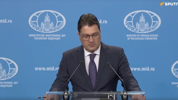 Брифинг МИД России об актуальных вопросах международной повестки - Sputnik Грузия