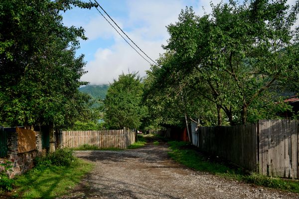 კორტანეთსა და ამ რაიონის სხვა სოფლებში დასასვენებლად როგორც უცხოელი ტურისტები, ისე საქართველოს მოქალაქეები ჩადიან. - Sputnik საქართველო