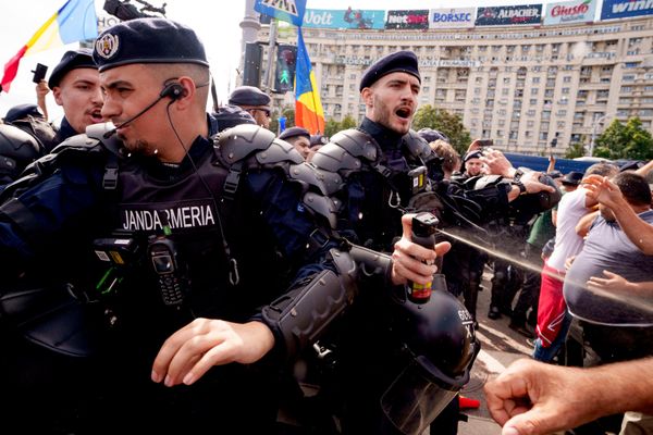 Акция протеста нескольких тысяч фермеров против временного запрета на экспорт скота. - Sputnik Грузия