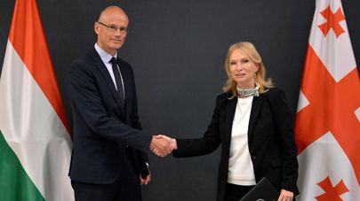 
Национальные банки Грузии и Венгрии договорились о сотрудничестве